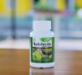 Keloreena Asli Original ( RESMI BPOM ) Mengatasi Semua Penyakit Dalam Luar Tubuh Kelorena Terlaris Obat Herbal Halal Tanpa Efek Samping Dan Aman. 