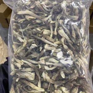 Deer Antler Mushroom Dried Goods Crispy and tender Deer Antler Mushroom Mushroom Soup Fujian Specialty Deer Antler Mushroom Can be Cooked Soup Ingredients Specification 500g/1000g
