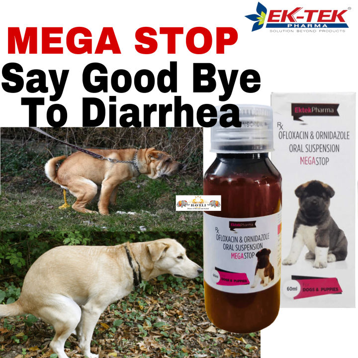 EkTek Pharma Megastop Say Good Bye To Diarrhea For Dogs Oral