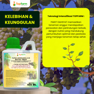 Pupuk Topfarm / Pestisida Topfarm / Pupuk Khusus Tanaman Anggur / Pupuk Khusus Anggur / Pupuk Khusus Pohon Anggur / Obat Semprot Hama Daun Anggur / Obat Semprot Hama Pohon Anggur / Obat Hama Daun Anggur Kuning