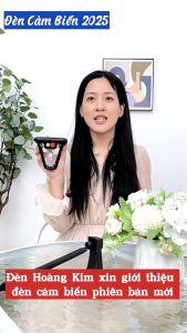 Đèn sân năng lượng mặt trời cảm ứng chuyển động tích hợp đèn tường và đèn cắm đất