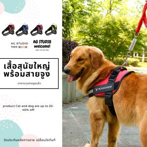 เสื้อพร้อมสายจูงสุนัขใหญ่ S M L XL XXL น้ำหนักตั้งแต่ 5-70 Kg โปรดไว้ใจจัดส่งออกไปภายใน 24 ชม.