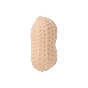 NALANILI Slow Rebound Simulated Peanut Squeeze Toy Soft Stress Relief Decompression Toy Creative Sensory Toy Kids Adults