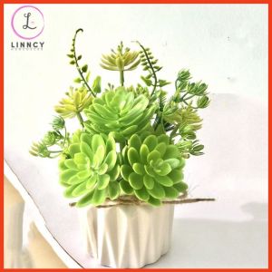 Hoa Giả Chậu Sen Đá Trang Trí Bàn Kệ Tủ Giá Sách Cao 15-20cm