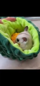 Sugar Glider Bonding Pouch - Flannel Sleeping Pouch with Breathable Vent & Drawstring Portable Travel Bag Small Animal Carrier for Sugar Glider Squirrel Hamster Rats Hedgehog (Green)