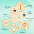 Hanasui Ceramide Probiotics Peeling Gel - Eksfoliasi Gel Wajah Perbaiki Skin Barrier Mencerahkan dan Angkat Sel Kulit Mati Komedo. 