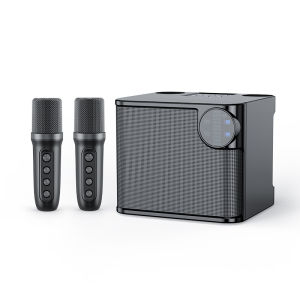 TECHZONE YS-203 Portable Karaoke Machine Wireless Bluetooth Speaker KTV Set with 2 Professional UHF Microphone