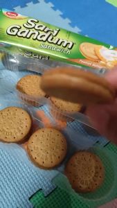 Roma Biskuit Sari gandum-Roma Wheat Biscuits 108g-240g