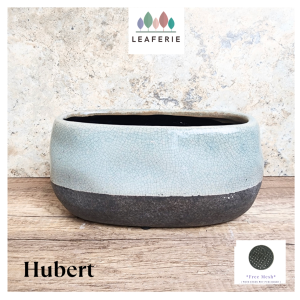 The Leaferie Hubert Long plant pots Ceramic flowerpot flowerpots flower pot planter planters