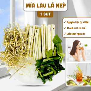 Trà sâm mía lau thanh nhiệt giải độc combo 3 gói nấu sâm mía lau giúp thanh lọc cơ thể mát gan