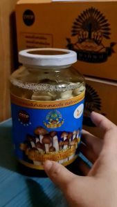 เห็ดปลวก เห็ดโคน เห็นโคลในน้ำเกลือ เห็ดกระป๋อง เห็ดโคนกระปุก