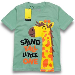 KAOS ANAK LAKI KARAKTER SUPERHERO dino tyrex HOT PROMO ! PAKAIAN ANAK DISTRO  STAND TALL SAGE ABADIGROSIR TERBARU