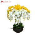 Hoa giả, chậu hoa lan hồ điệp cao su cao cấp cao 60cm loại xịn đẹp giống thật trang trí nhà cửa, phòng khách, decor văn phòng, cửa hàng, khách sạn, spa sang trọng, bình lan hồ điệp làm quà tặng khai trương, khánh thành Anzzar BL-01. 