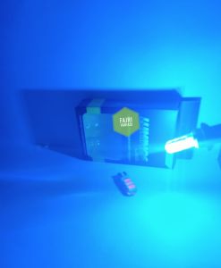 SEPASANG LED T10 JELLY 6 MATA untuk lampu sein senja plat nomor mobil motor