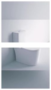 Toilet 12" Rough-in with High-Temperature Firing for Easy Cleaning and Odor Prevention