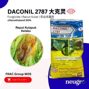 ACM DACONIL 2787 1KG Chlorothalonil 50% Leaf Spot Downy Mildew Fungicide Racun Kulat Bintik Daun Kulapok Downy Hawar Antraknos
