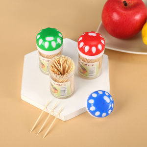 Tusuk Gigi Bambu Multicolor + Kotak Penyimpanan Modern