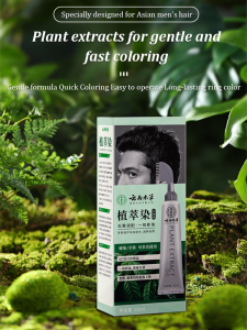 Mens special black hair cream hair dye comb cover gray