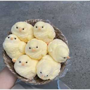 VIRALSHOP SQUISHY AYAM taba squishy chicken hamster kucing mainan anak squishy chicken taba squish mainan anak prank mainan gemas dan lucu K054
