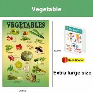 BIG SIZE CHART FOR EDUCATIONAL English Alphabet Numbers Colors Chart For Kid Educational
