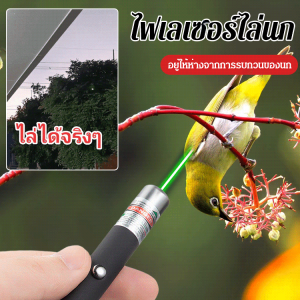 อุปกรณ์ไล่นก ใช้งานง่าย สารขับไล่นก ทันสมัย ความยาวโฟกัสปรับได้ การก่อสร้าง มีเอกลักษณ์ พลังพิเศษ
