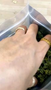 500G Nụ hoa tam thất Hà Giang  khô thơm hàng chuẩn Dược Liệu Quý