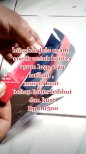 bungkus jalu termurah untuk kontes ayam latihan ayam bahan halus kuat tebal cek vidio jika ragu