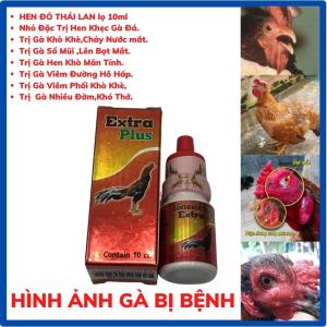 HEN ĐỎ Thái Lan Tr.ị Kh ò Khè Cho Gà Đá Dạng Nhỏ 1 LỌ .Hen Đỏ Dùng Cho Gà Chảy Nước MắtSổ MũiBọt Mắt Khó Thở ở Gà.