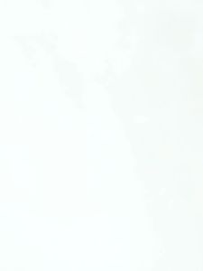 Winter Waterproof Stainless SteelLitter Pad Cat Supplies Accessory Splash Proof Cleaning Pad for Cat Litter Boxes2026