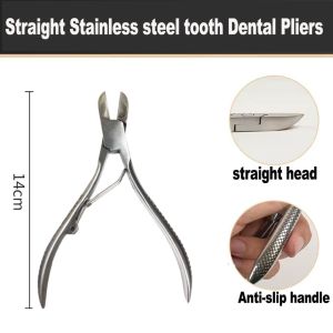 Straight Elbow Tooth Shears Stainless Steel Cut Clamp Piglet Bunny Dental Pliers Forceps Breeding Tool