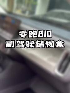 secr For Leapmotor B10/B01/B05 Storage Behind Passenger Instrument Panel Car Cover Decorative Interior Accessoriesafa Q8H3K