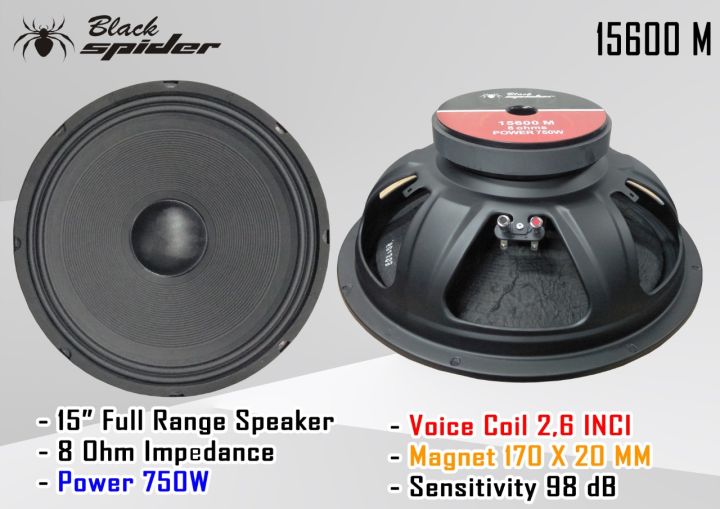 Speaker 15 hot sale inch low