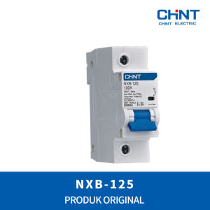 CHINT Din-Rail MCCB NXB-125 / 1P (80A 100A 125A)