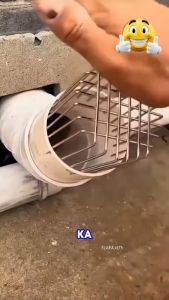 Outdoor Roof Drain Cover Stainless Steel - Anti-clogging Rain Pipe Cap for Balcony Sewer Anti-Rat