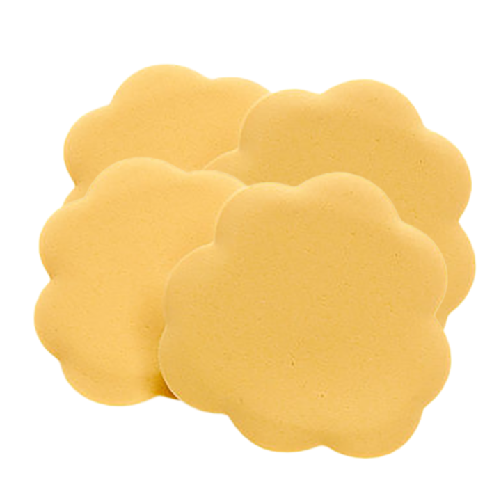 Foot Petals Tip Toes Twin Pair Pack / Ball of Foot Cushions Lazada