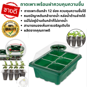 ชุดถาดเพาะจิ๋ว เพาะแคคตัส กระบองเพชร พร้อมฝาปรับความชื้น 12 หลุม เพาะกล้า กระถางต้นไม้ ต้นกล้า แผงเพาะชํา ไม่ต้องรดน้ําบ่อย