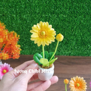 Chậu hoa Cúc mini bằng đất sét Nhật tự khô