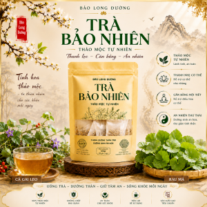 Trà Bảo Nhiên | Trà Thảo Mộc Thanh Dưỡng Thân Tâm Tự Nhiên | Cà Gai Leo Rau Má Diệp Hạ Châu Chè Vằng..30 Túi Lọc 120g