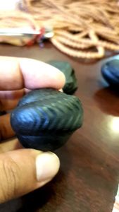 Original Natural Gandaki River Saligrama Stone Medium