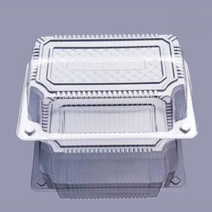 100 transparent rectangular food containers fresh fruits vegetables pastries disposable plastic packaging boxes