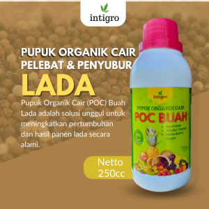 Pupuk Pelebat Buah Lada / Obat pembesar Buah Lada / Pupuk Penyubur Tanaman Lada / Pupuk Cair Lada