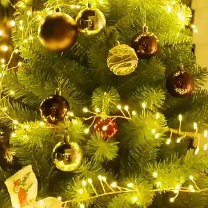 SG Ready Stock 100LED Christmas String Lights 3M Warm White Remote Control Xmas Tree Fairy Lights