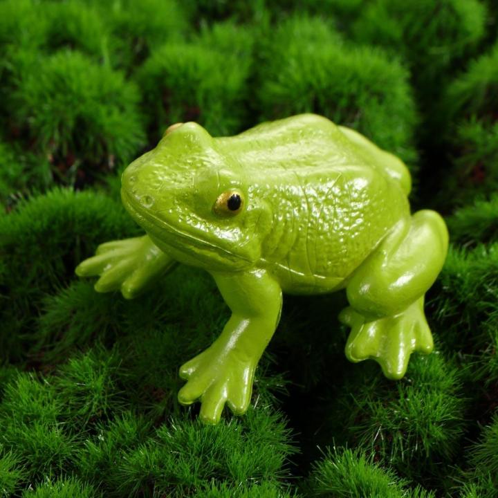 MOONLIGHT Biology For Kid Spider Plastic Models Chicken Teaching