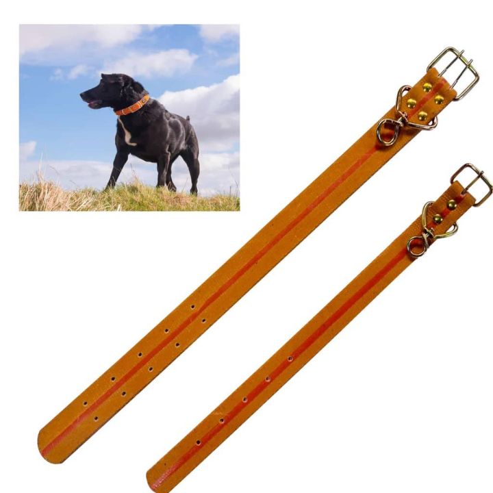 Adjustable Heavy Duty Safety Pet Dog Collar Dog Belt Lazada PH