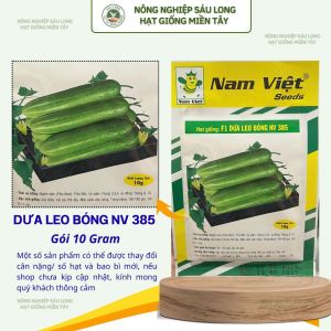 Hạt Giống F1 Dưa Leo Bóng NV 385 Nam Việt – Trái Xanh Bóng Giòn Ngọt – Gói 10g