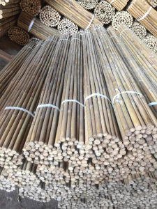 Tre Trúc khô trang trí tết cây dài 1m 1m20 1m50 1m75 Cây trúc ốp tường trúc sào làm hàng rào dàn cho cây leo