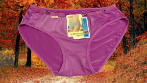 Quần Lót Nữ Thun Lạnh Lưng Chữ CK 228 Freesize (45-53Kg 👉 Bảng chọn SIZE tham khảo) - Quần Chip Nữ thun co dãn thoải mái thoáng mát vải mềm mịn trơn bóng không xù lông.