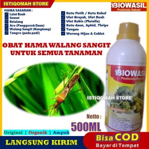 BIOWASIL 500ml Obat Hama Pembasmi Walang Sangit/Kungkang Pada Semua Tanaman  - Obat Hama Walang Sangit Pada Padi Paling Ampuh - Obat Pembasmi Hama Walang Sangit Pada Tanaman Padi - Racun Hama Walang Sangit Kungkang Paling Manjur TERLARIS