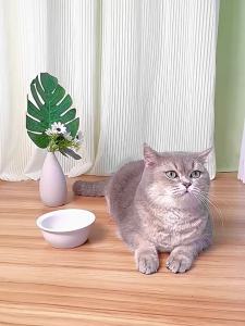 Pet Water Dispenser Automatic cat feeder and water dispenser dog bowl and cat bowl two-in-one cat food bowl and water utensils portable pet drinking bowl cat and dog water feeder