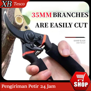 Skissor Sk5 Gunting Berkebun Buah / Gunting Taman dan Tanaman Pemangkasan Pohon Buah